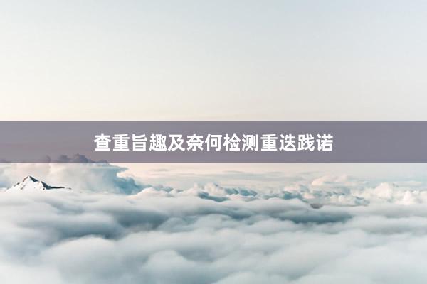 查重旨趣及奈何检测重迭践诺